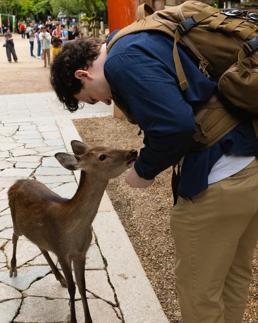 Proposal photo
