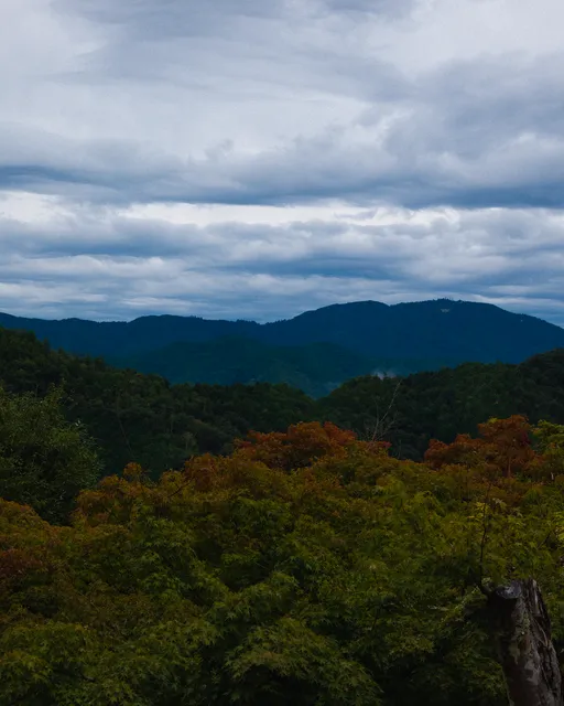 Proposal photo