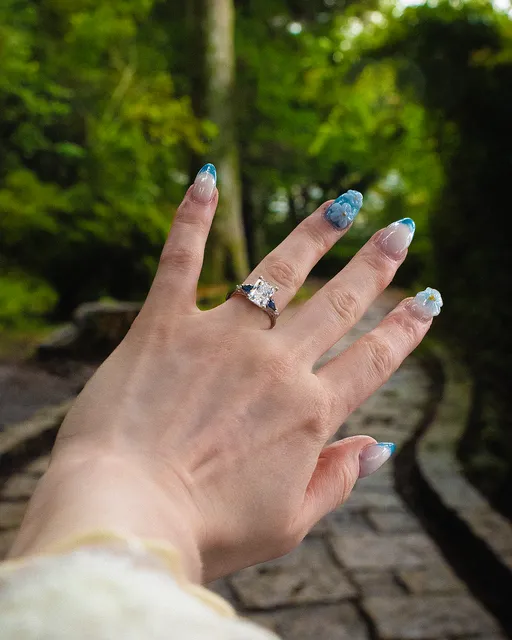 Proposal photo